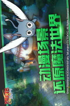 妖精的尾巴:魔导少年